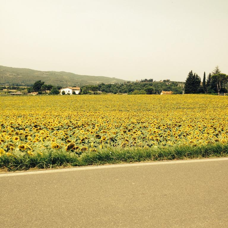 Tre Girasoli モンテ・サン・サヴィーノ エクステリア 写真